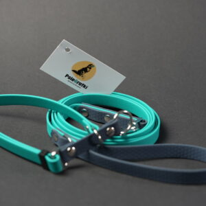 Smycz + obroża - komplet